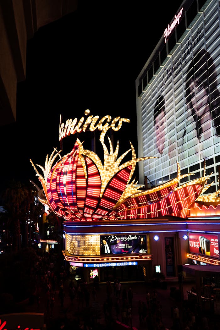 journey Bright neon lights of the Flamingo Hotel casino at night in Las Vegas.